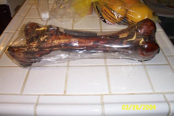 Eddie's New Toy - March 26, 2004