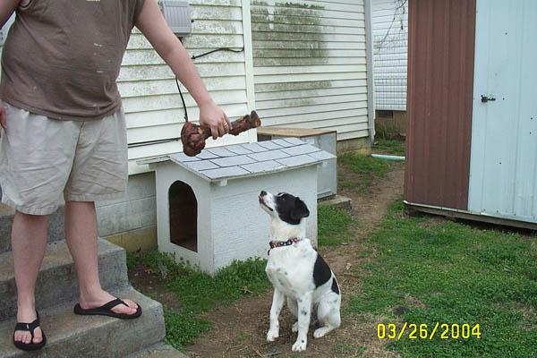 Look, I'm even sitting!