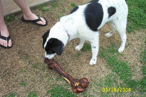 Mmm, the first taste!