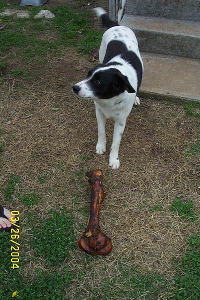 Why are you watching me??