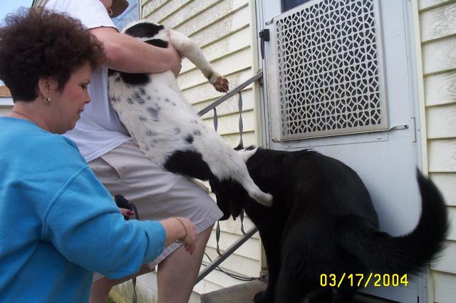 Carrying Eddie Inside