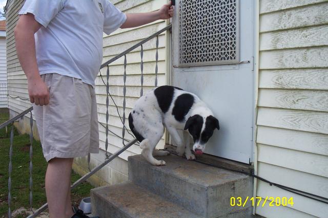 Safe on the Steps...