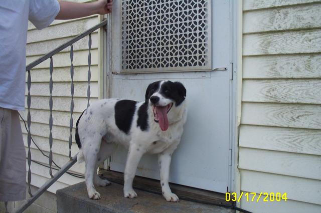 Can I Go Inside Now?