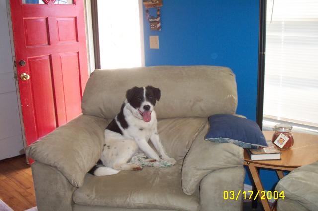 Come Sit With Me, Please!