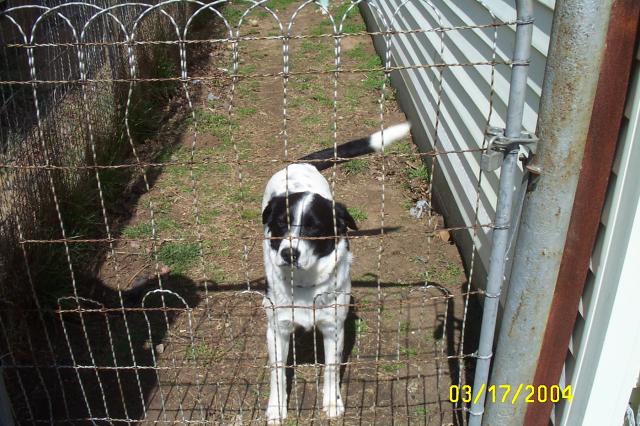 Eddie & Bill's Play Date - March 17,2004