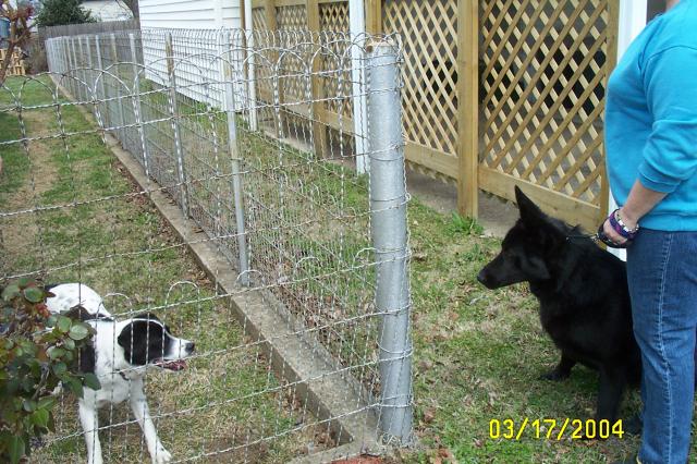 Checking Each Other Out