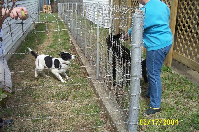 Checking Each Other Out