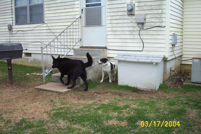 Get Away from MY House, Bill!