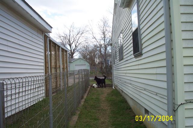 Eddie Pleading for his Life