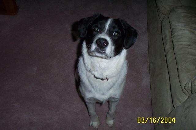 Posing for his Picture