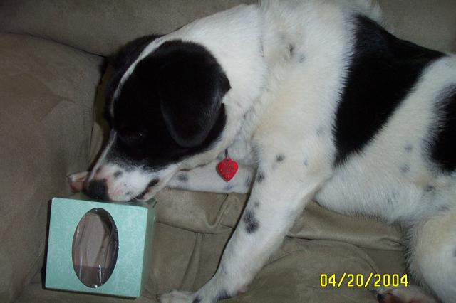 Eddie & The Kleenex Box - April 20, 2004