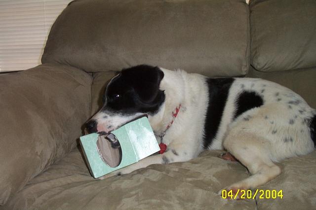 Really Goin' to Town