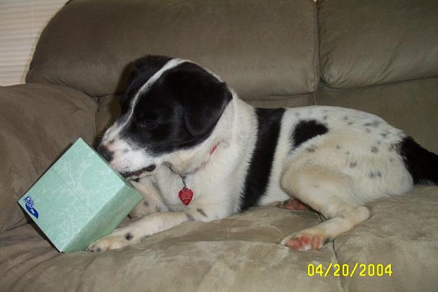 Really Goin' to Town