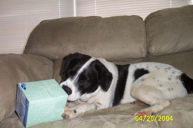 Really Goin' to Town