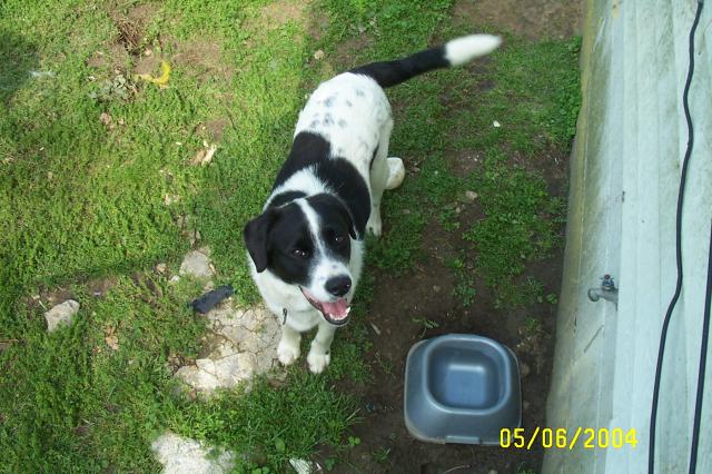 Playtime with Eddie - May 6, 2004