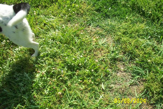 Too Fast for the Camera