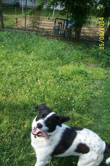 A Face only a Mommy could love!