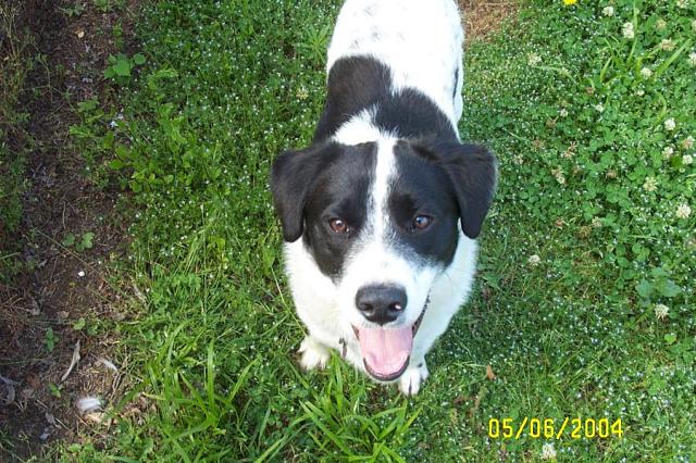 OK, I'm ready - let's PLAY!