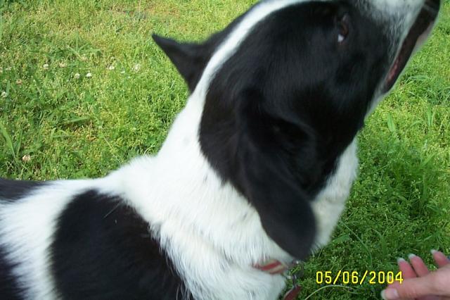 Close-Up Eddie - He Still Won't Give Up the Ball!