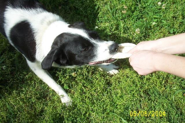 The Battle of the Sexes (Abby vs. Eddie)