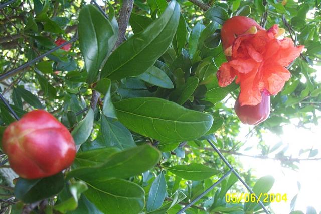 Jake Took a Moment to be "Artistic"