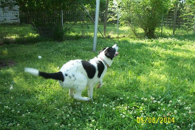 Preparing to Jump...