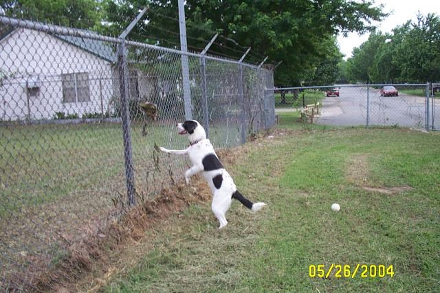Whose Fence is This?