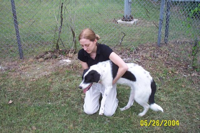 Trying to Get a Picture of Abby & Eddie