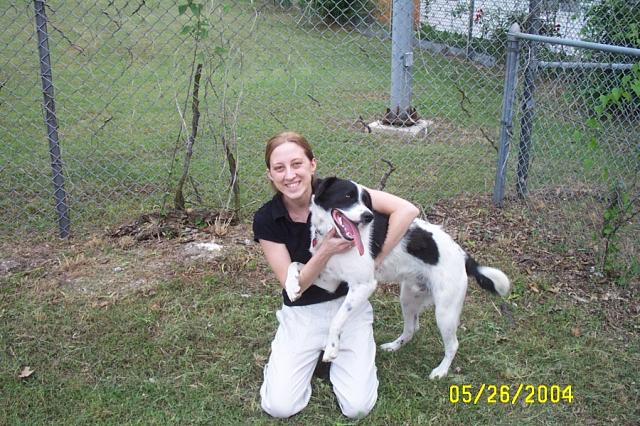 Look at the Camera, Eddie!