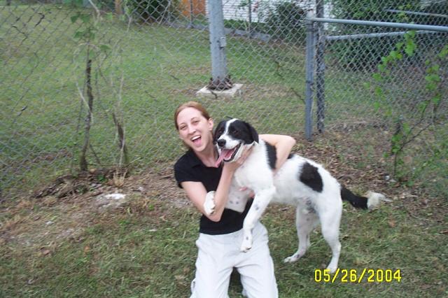 A Little Blurry, but It'll Have to Do!