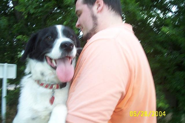 A Blurry Eddie Enjoying his "Free Ride"