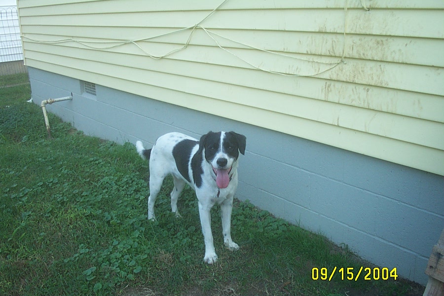 Fun with Eddie - September 15 & 22, 2004