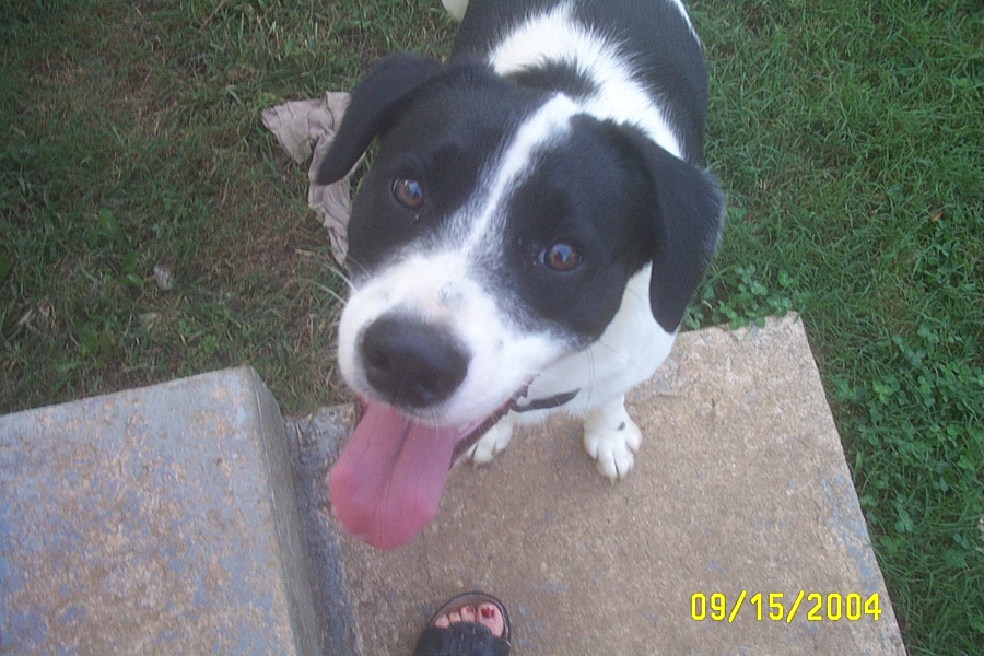 Eddie's Tongue (and a Little of Abby's Foot)