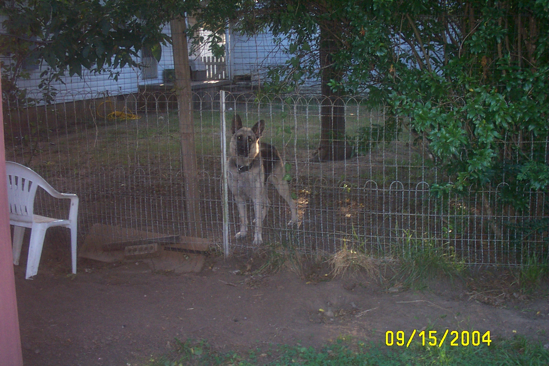 Eddie's Girlfriend in the Yard Next Door