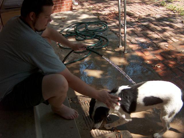 Eddie Gets a Bath -- September 3, 2005