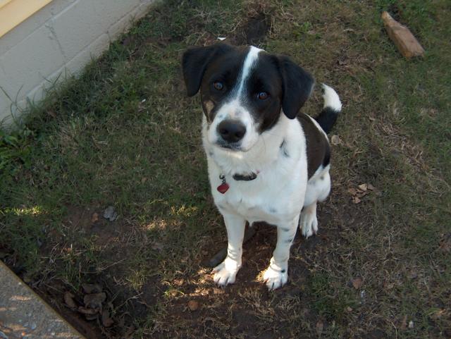 New Pictures of Eddie - November & December 2004