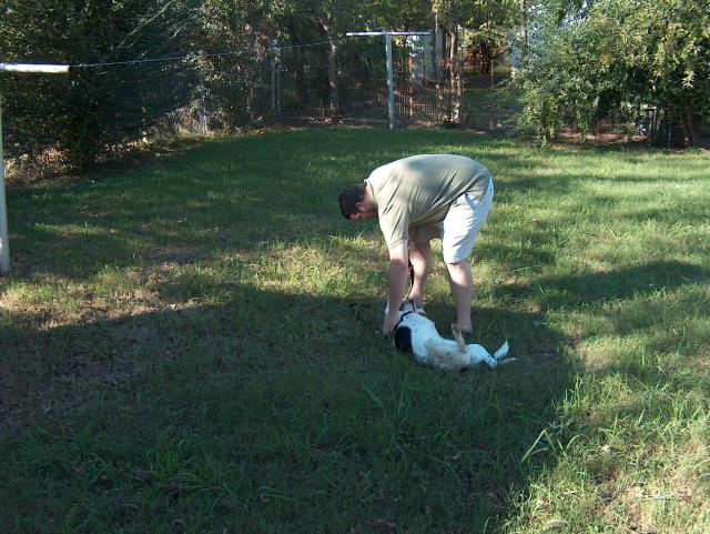 Putting the leash on -- and a preview of what's to come.