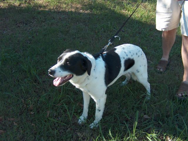 He's actually standing up -- but not for long!