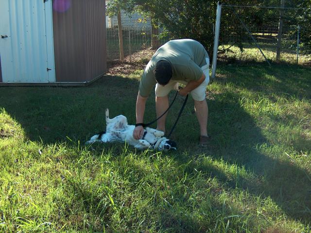 Jake promising the leash won't hurt -- Eddie's not buying it.