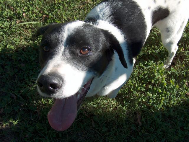 No Leash, Happier Eddie