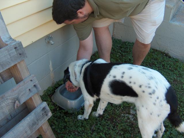 Water Break (Yes, Jake is feeding Eddie water by hand...)