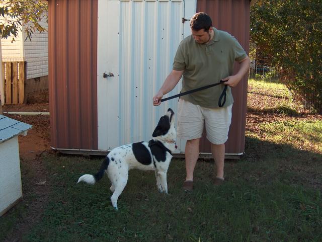 Another try with the leash...