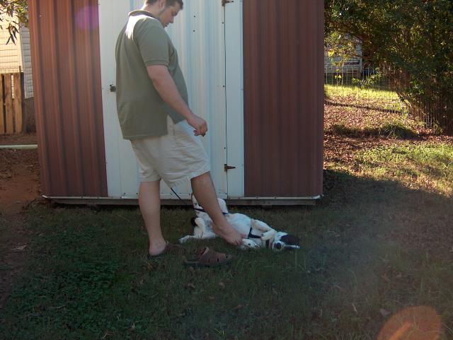 Nope, not getting up...