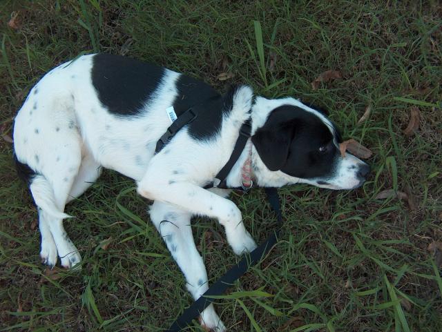 I've been traumatized!