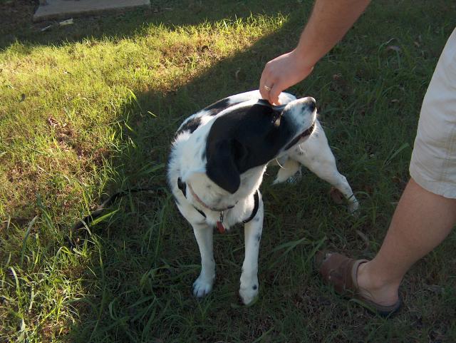 Okay, maybe I'll forgive you...