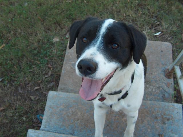 C'mon, I deserve a treat!