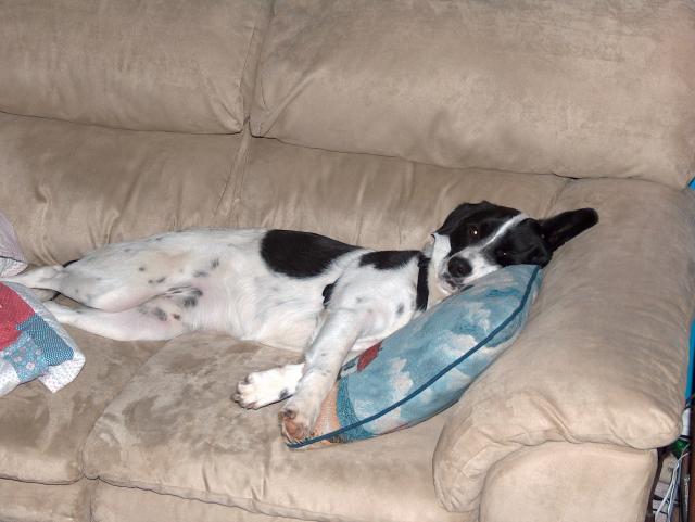 No pictures, please, I'm napping...