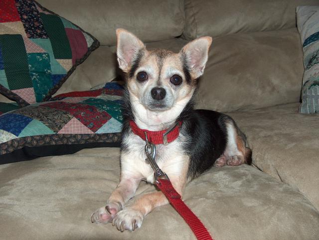 Eddie Meets Homer - November 11, 2004 Click Picture Above to Enter Album.