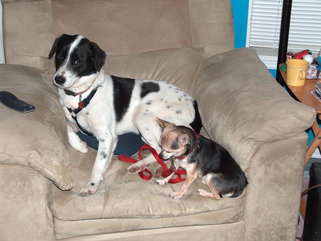 Why is he in MY chair?