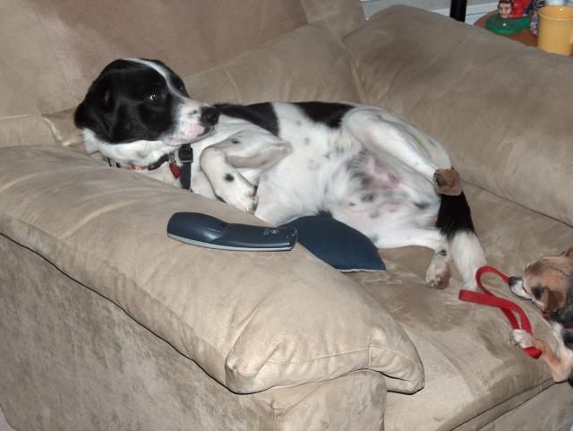 Eddie kicks Homer out of the chair -- literally!